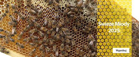 Wersje kolorystyczne